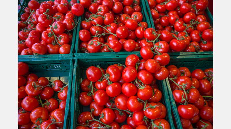Le gouvernement burkinabè lève la suspension des exportations de la tomate fraîche