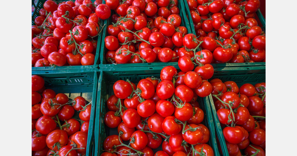 Le gouvernement burkinabè lève la suspension des exportations de la tomate fraîche
