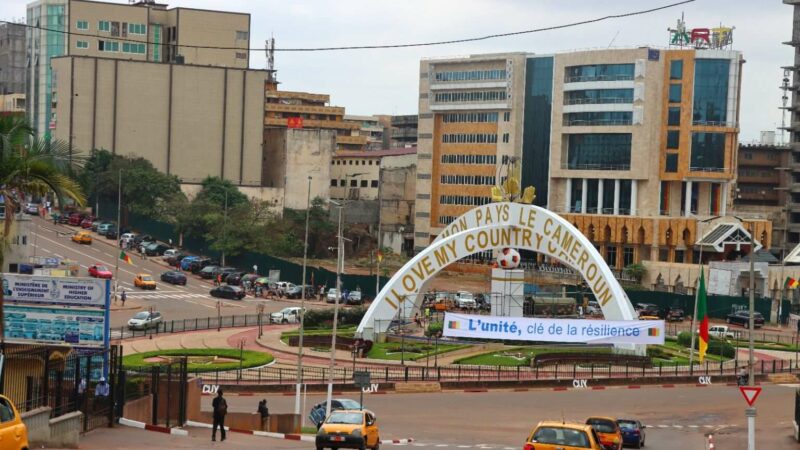 Le Cameroun à pied d’œuvre pour son 4è Recensement général de la population, de l&rsquo;agriculture et de l&rsquo;élevage