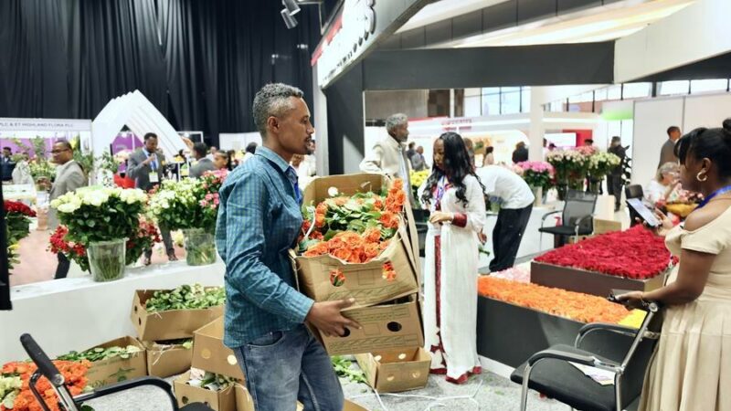 Les exportations de produits horticoles ont de nouveau, généré d’importantes devises étrangères pour l’Ethiopie