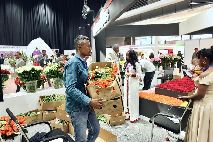 Les exportations de produits horticoles ont de nouveau, généré d’importantes devises étrangères pour l’Ethiopie