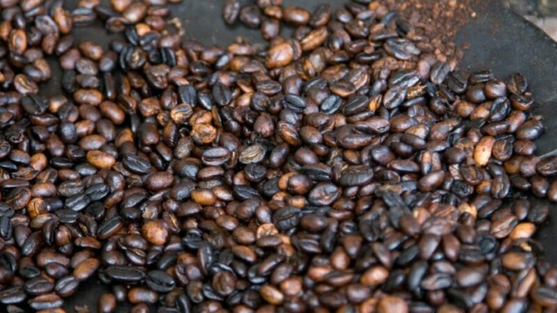 L’Ethiopie continue de tirer d’immenses revenus de ses exportations de café (Officiel)