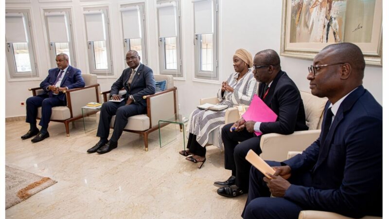 Financement africain: La BOAD et la BAD conviennent d’offrir davantage de financements d’échelle