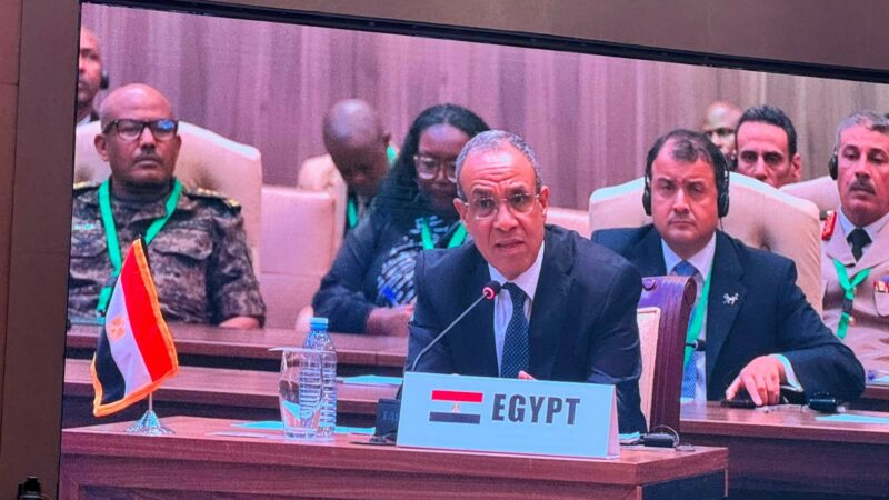 L’Egypte et l’UNESCO vont renforcer leurs aires de coopération