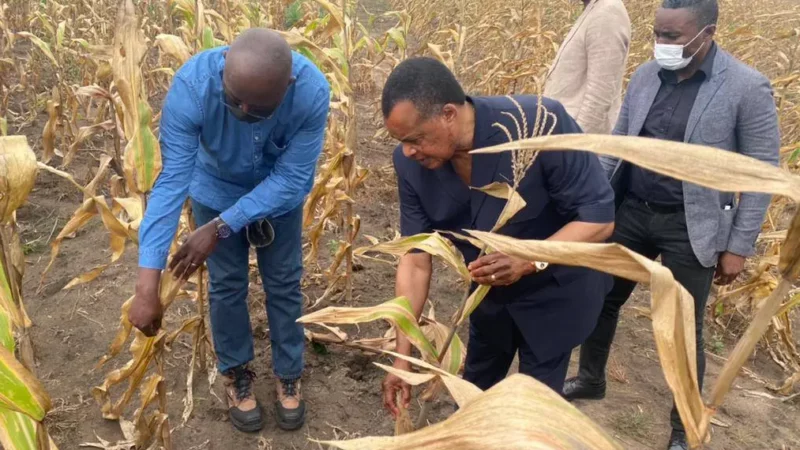 Congo-Brazzaville : Photographie des importations du pays au 2è trimestre 2026
