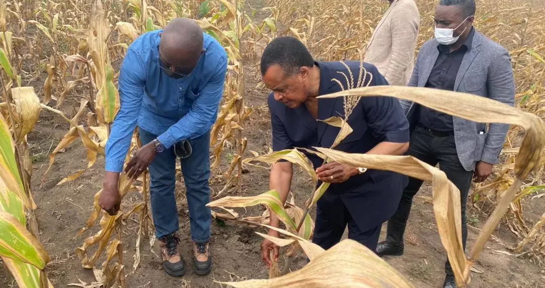 Congo-Brazzaville : Photographie des importations du pays au 2è trimestre 2026