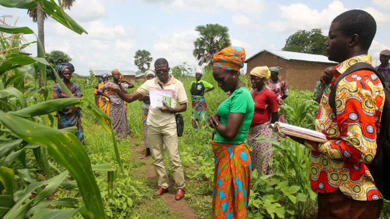 Bénin: Le FIDA mobilise 37,1 millions USD pour accélérer la modernisation de l’agriculture béninoise