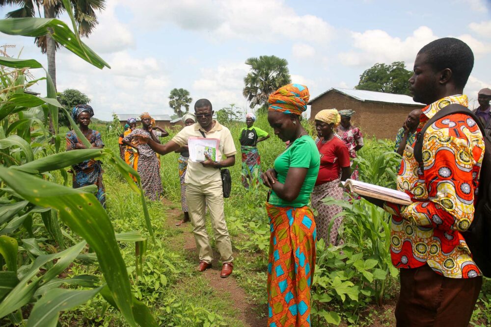 Bénin: Le FIDA mobilise 37,1 millions USD pour accélérer la modernisation de l’agriculture béninoise