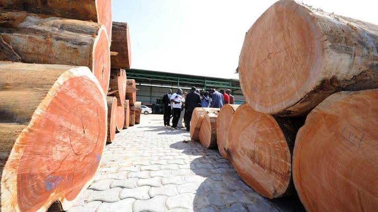 Le Congo envisage une meilleure protection des exportations et importations des produits ligneux