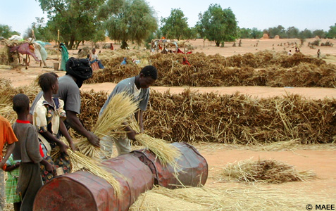 La Mauritanie se révolte contre le désastre agricole de la sécheresse