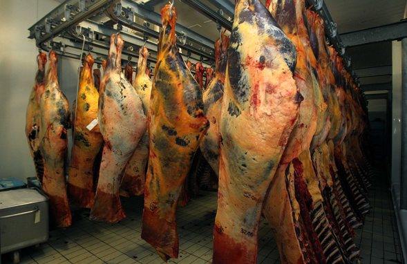 France : le scandale de la viande chevaline