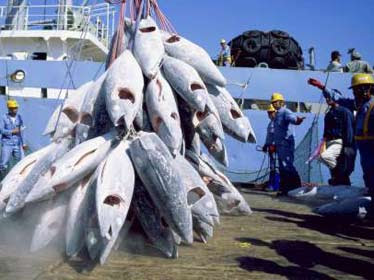 Mauritanie : Un accord de pêche Contesté par des opérateurs nationaux