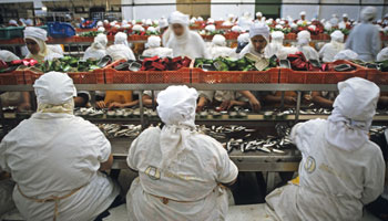 Maroc : Industrie de transformation à Safi.
