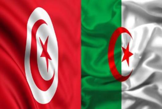 Les rencontres professionnelles Algérie-Tunisie seraient-elles porteuses d’avenir ?