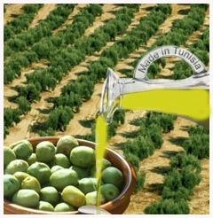 Tunisie : Exportations d’huile d’olive